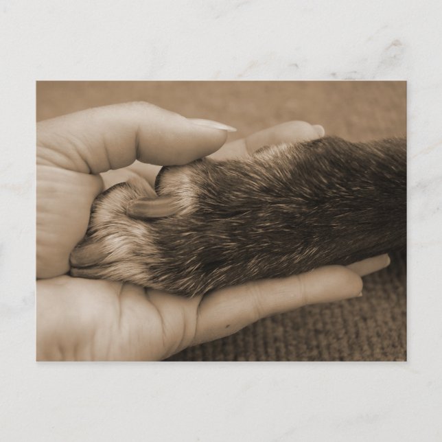 Danke, mein Freund. Postkarte (Vorderseite)