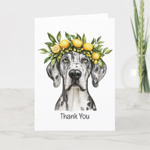 Danke Merle Great Dane Dog Lemon Crown