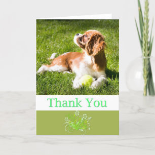 Danke mit Cavalier King Charles Welpen Karte
