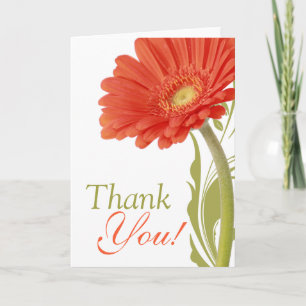 Danke Orange Gerbera Daisy