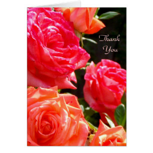 Danke - Peach Rose