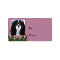 Danke - Pink Tulips - Cavalier - Tri-Color