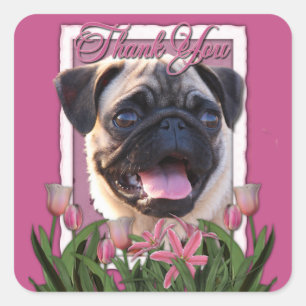 Danke - Pink Tulips - Mops Quadratischer Aufkleber