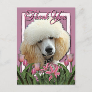 Danke - Pink Tulips - Poodle - Apricot Postkarte