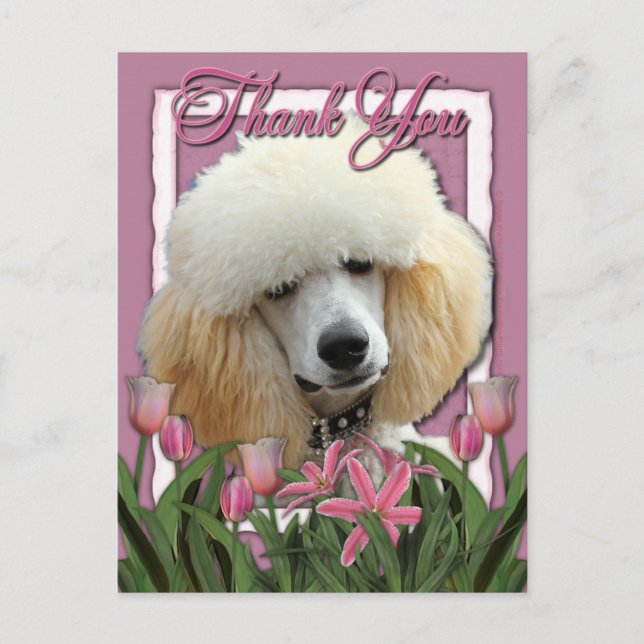 Danke - Pink Tulips - Poodle - Apricot Postkarte (Vorderseite)
