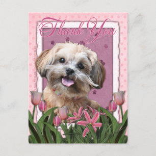 Danke - Pink Tulips - ShihPoo - Maggie Postkarte