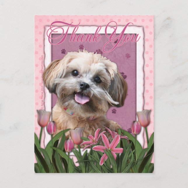 Danke - Pink Tulips - ShihPoo - Maggie Postkarte (Vorderseite)