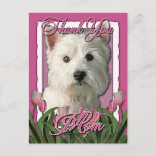 Danke - Pink Tulips - West Highland Terrier Postkarte