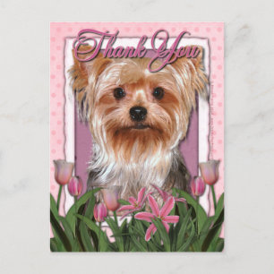Danke - Pink Tulips - Yorkshire Terrier Postkarte