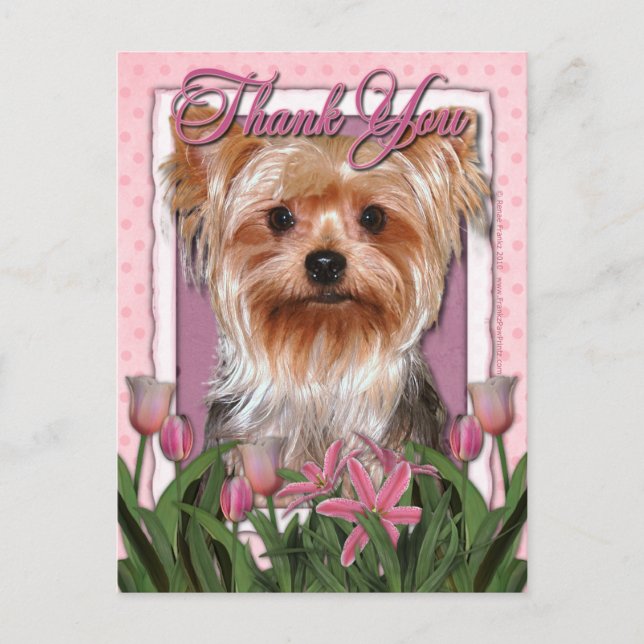 Danke - Pink Tulips - Yorkshire Terrier Postkarte (Vorderseite)
