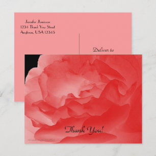 Danke Postcard, Coral Pink Rose Petals Postkarte