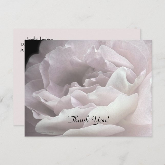 Danke Postcard, Pink Rose Postkarte (Vorne/Hinten)