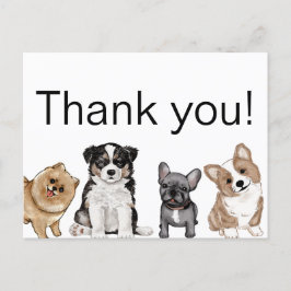 Danke, Puppy, Corgi, French Bulldog, Spitz Postkarte