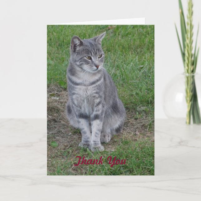 Danke, Purrfect Geschenk Dankeskarte (Vorderseite)