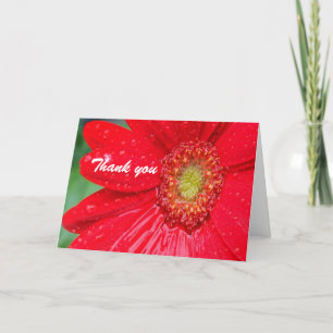 Danke, Red Blume Dankeskarte