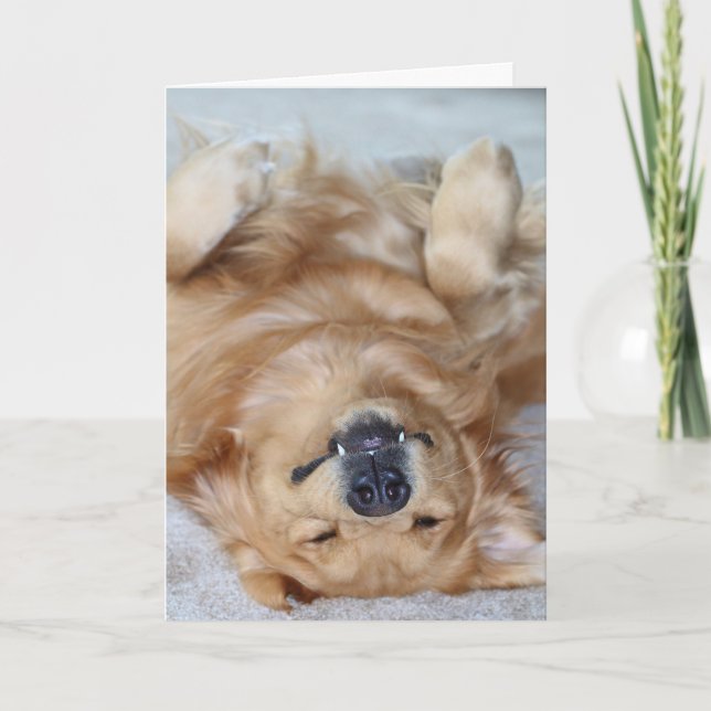 Danke Reißzähne (Vorderseite)