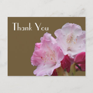 Danke, rosa Azaleenblüten，杜鹃花 Postkarte