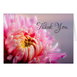 Danke Rosa Chrysantheme Makro-Foto-Notizkarte