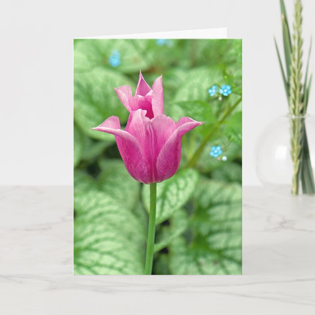 Danke Rosa Tulpe (Vorderseite)