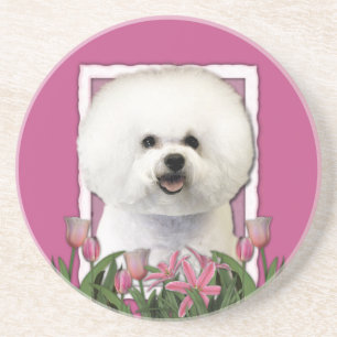 Danke - rosa Tulpen - Bichon Frise Untersetzer