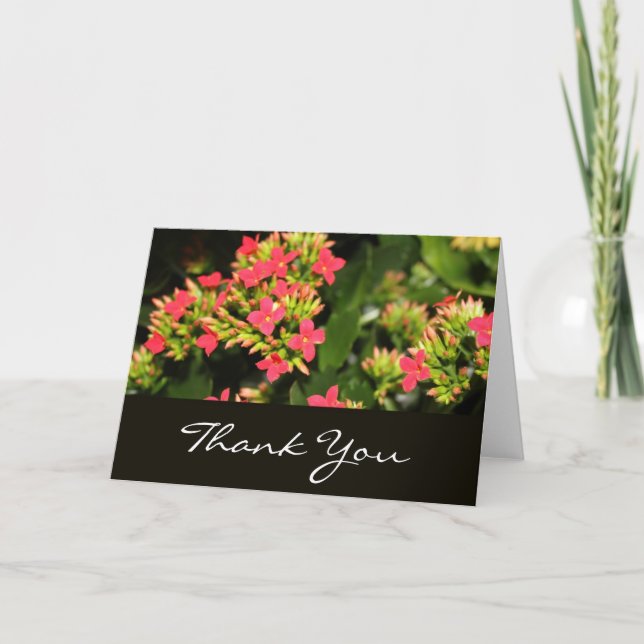 Danke, rote Blume Dankeskarte (Vorderseite)