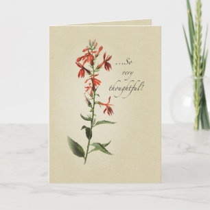 Danke Rote Wildblume, Religiöse