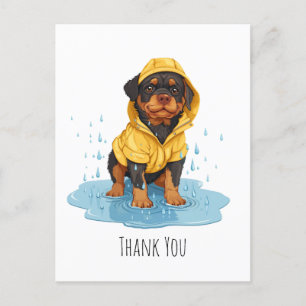 Danke Rottweiler Hund mit Raincoat Postkarte