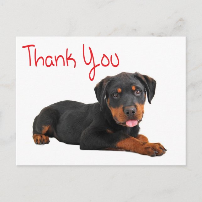 Danke Rottweiler Puppy Dog Gruß Postkarte (Vorderseite)
