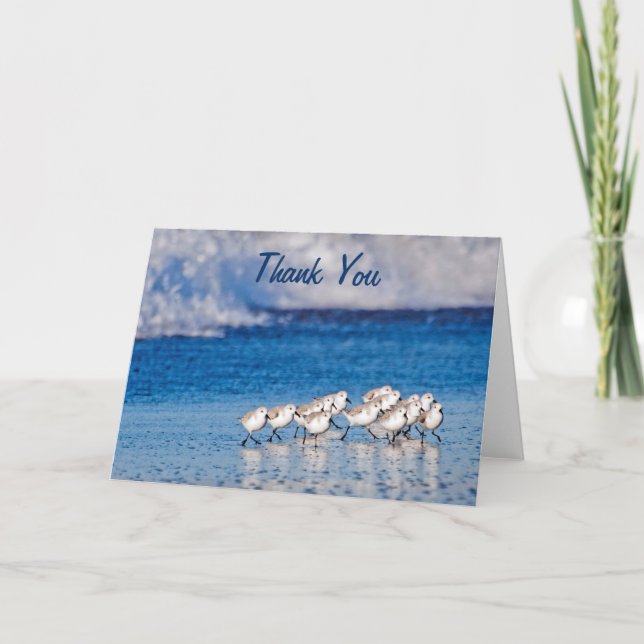Danke | Sandpipers Karte (Vorderseite)