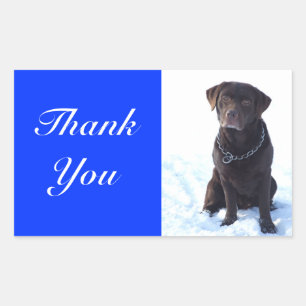 Danke-Schokoladen-Labrador-Retriever-Aufkleber Rechteckiger Aufkleber