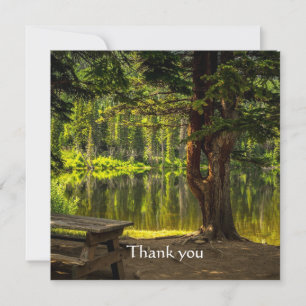 Danke schön Morning Light Sunrise Scripting