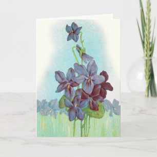 Danke schön: Sweet Violets