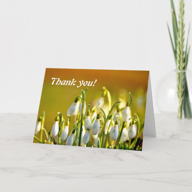 Danke, Snowdropps Blume Dankeskarte (Vorderseite)