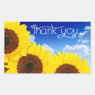 Danke Sonnenblumen-Gelb-Blumen-Aufkleber Rechteckiger Aufkleber