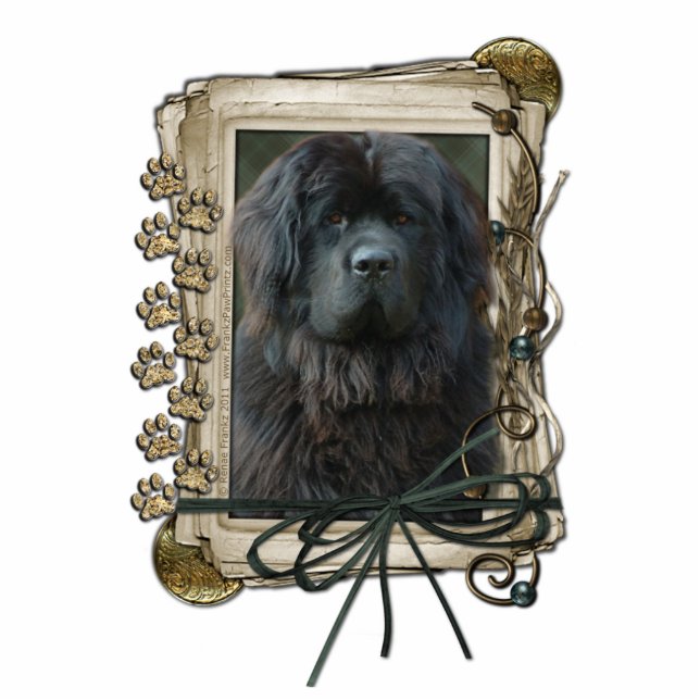 Danke - Steintatzen - Neufundland Freistehende Fotoskulptur (Vorne)