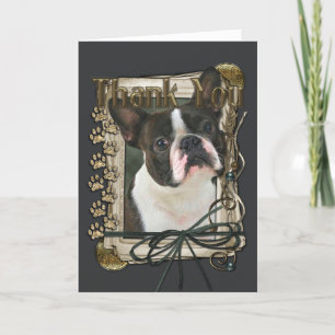 Danke - Stone Paws - Boston Terrier