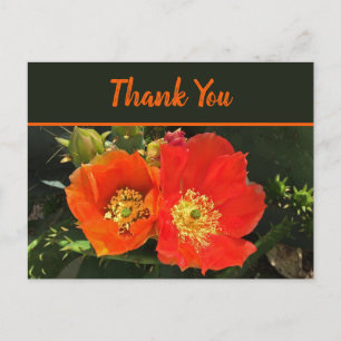 Danke, strahlende Wüstenblüte Foto Kaktus Blume Postkarte