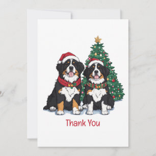 Danke Weihnachten Berner Sennenhunde