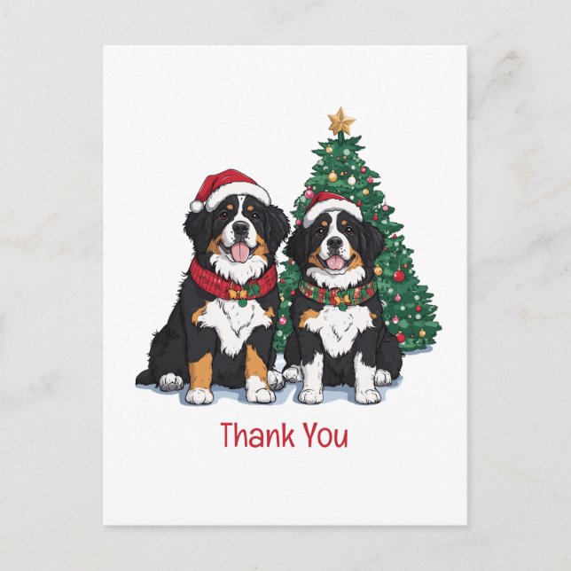 Danke Weihnachten Berner Sennenhunde Postkarte (Vorderseite)