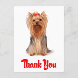 Danke Yorkshire Terrier Puppy Dog Postcard Postkarte