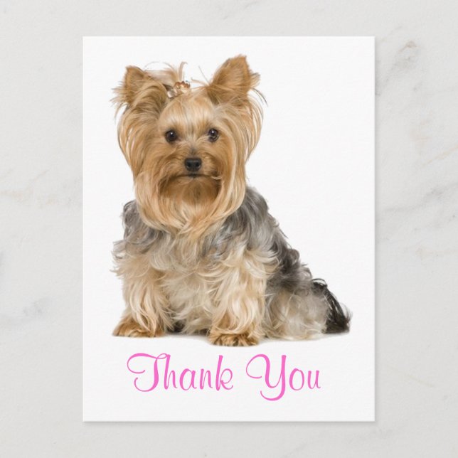 Danke Yorkshire Terrier Puppy Dog Postcard Postkarte (Vorderseite)
