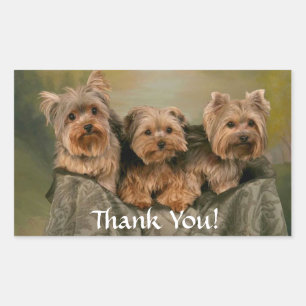 Danke Yorkshire Terrier Puppy Hogs Sticker