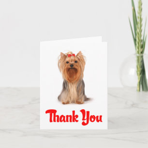 Danke Yorkshire Terrier Welpenkarte - Leer