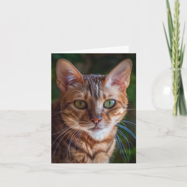 Danke zu kardieren (Vorderseite)