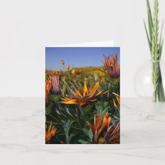 Danke zu merken: Feld der Blumen