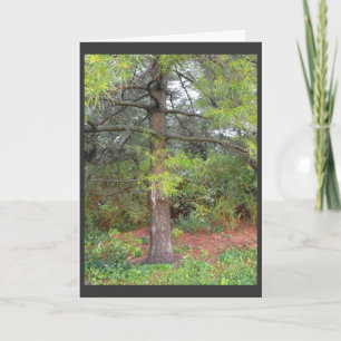 Danken Sie einem Soldaten 41 Feiertagskarte