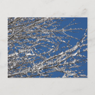 Danken Sie unserem Service-Mitglieds~ 14 Postkarte