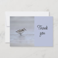 Dankeschön an freiwillige Helfer der Strandvogel-V