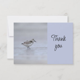 Dankeschön an freiwillige Helfer der Strandvogel-V Dankeskarte