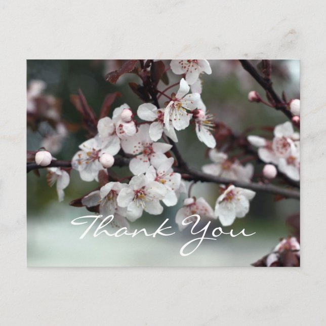Dankeschön an Kartenplum-Blume Postkarte (Vorderseite)